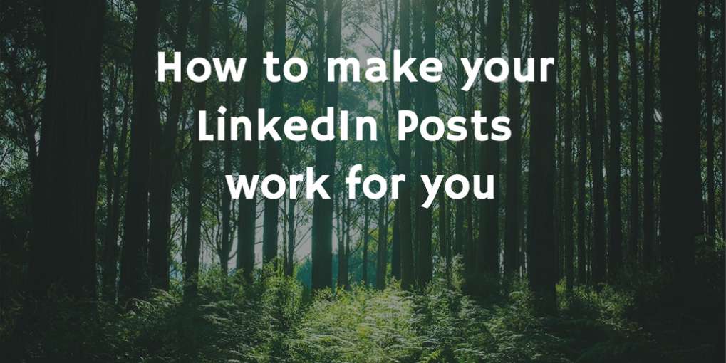 #21 How to make your LinkedIn Posts work for you
